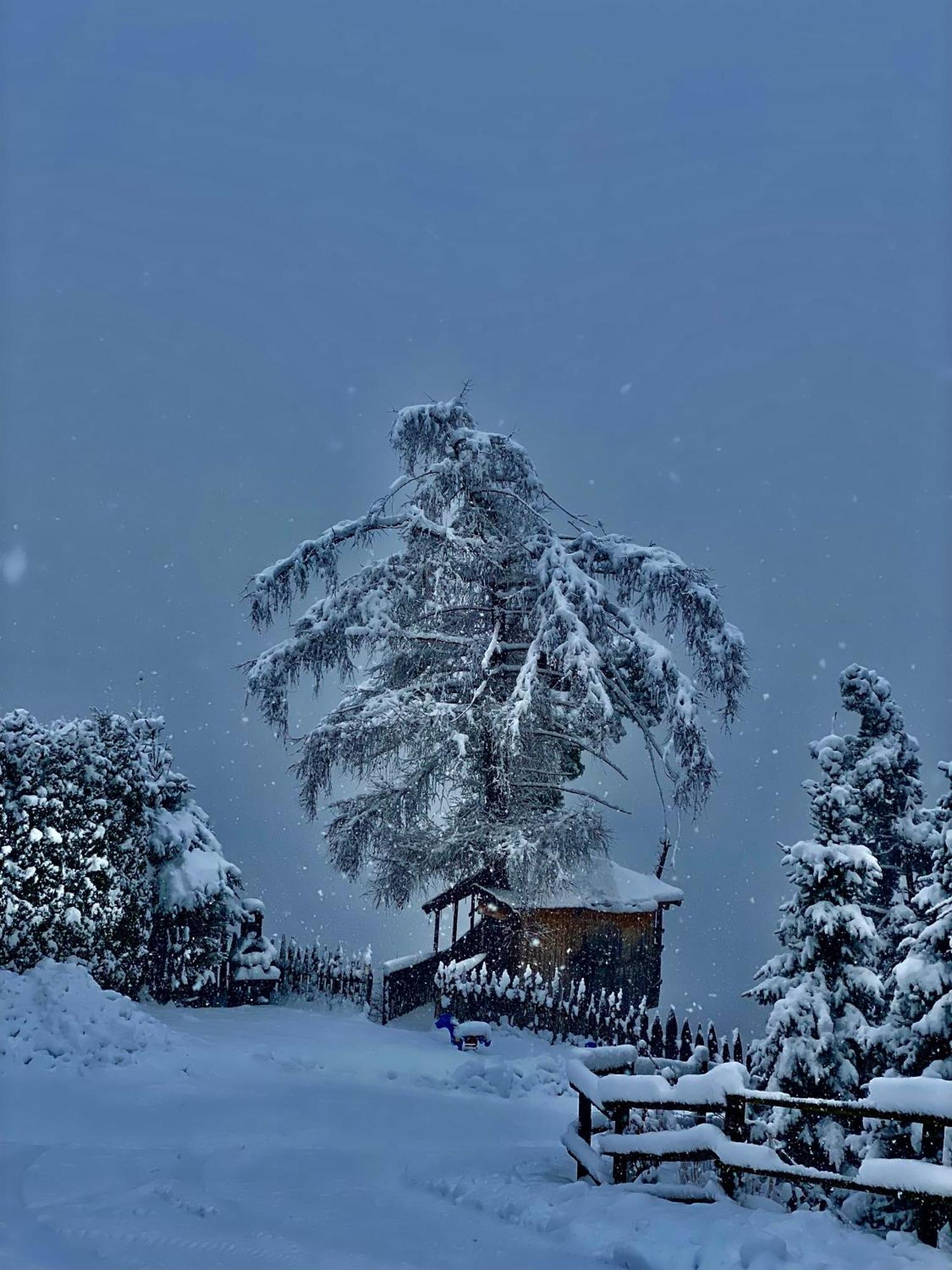 Oberprantschoellhof - Horse Mountain Stable Брессаноне Экстерьер фото