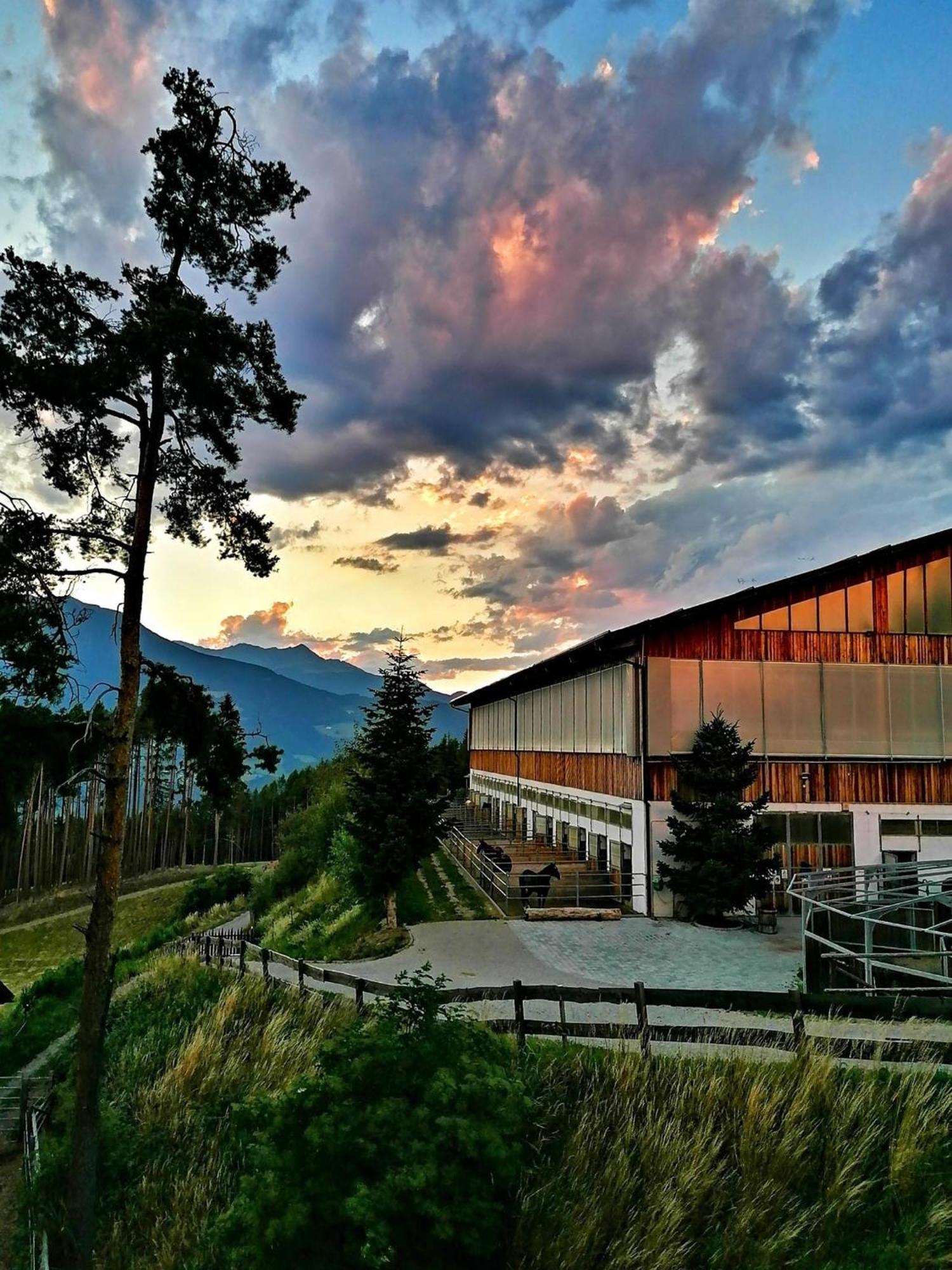 Oberprantschoellhof - Horse Mountain Stable Брессаноне Экстерьер фото